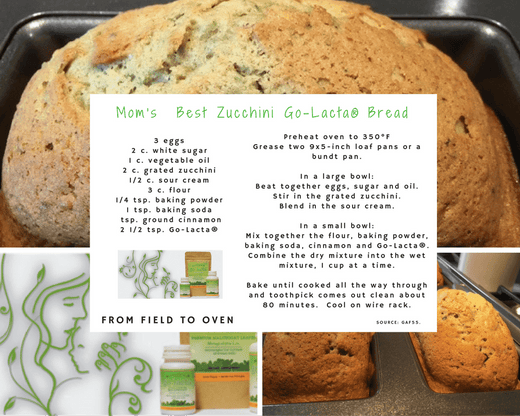 Mom's Best Zucchini Go-Lacta Bread - Go-Lacta