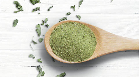 Go-Lacta® Moringa Powder - Go-Lacta